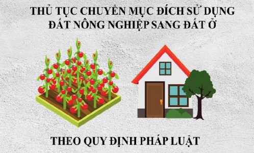 Thủ tục chuyển mục đích từ đất trồng cây lâu năm sang đất ở