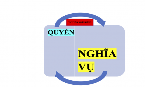 Bên vay có quyền và nghĩa vụ gì?