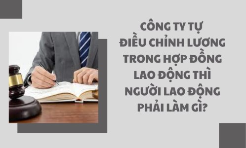 CÔNG TY TỰ ĐIỀU CHỈNH LƯƠNG TRONG HỢP ĐỒNG LAO ĐỘNG THÌ NGƯỜI LAO ĐỘNG PHẢI LÀM GÌ? (CÔNG TY LUẬT TẠI QUẬN TÂN BÌNH TP HỒ CHÍ MINH)